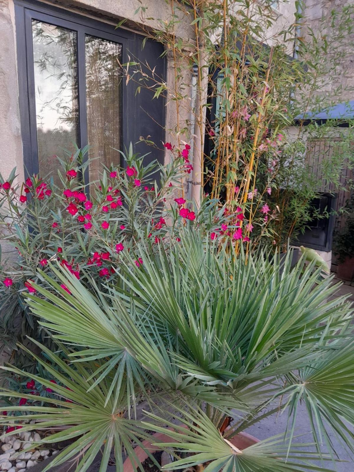 Le Clos Du Rouet Appartement