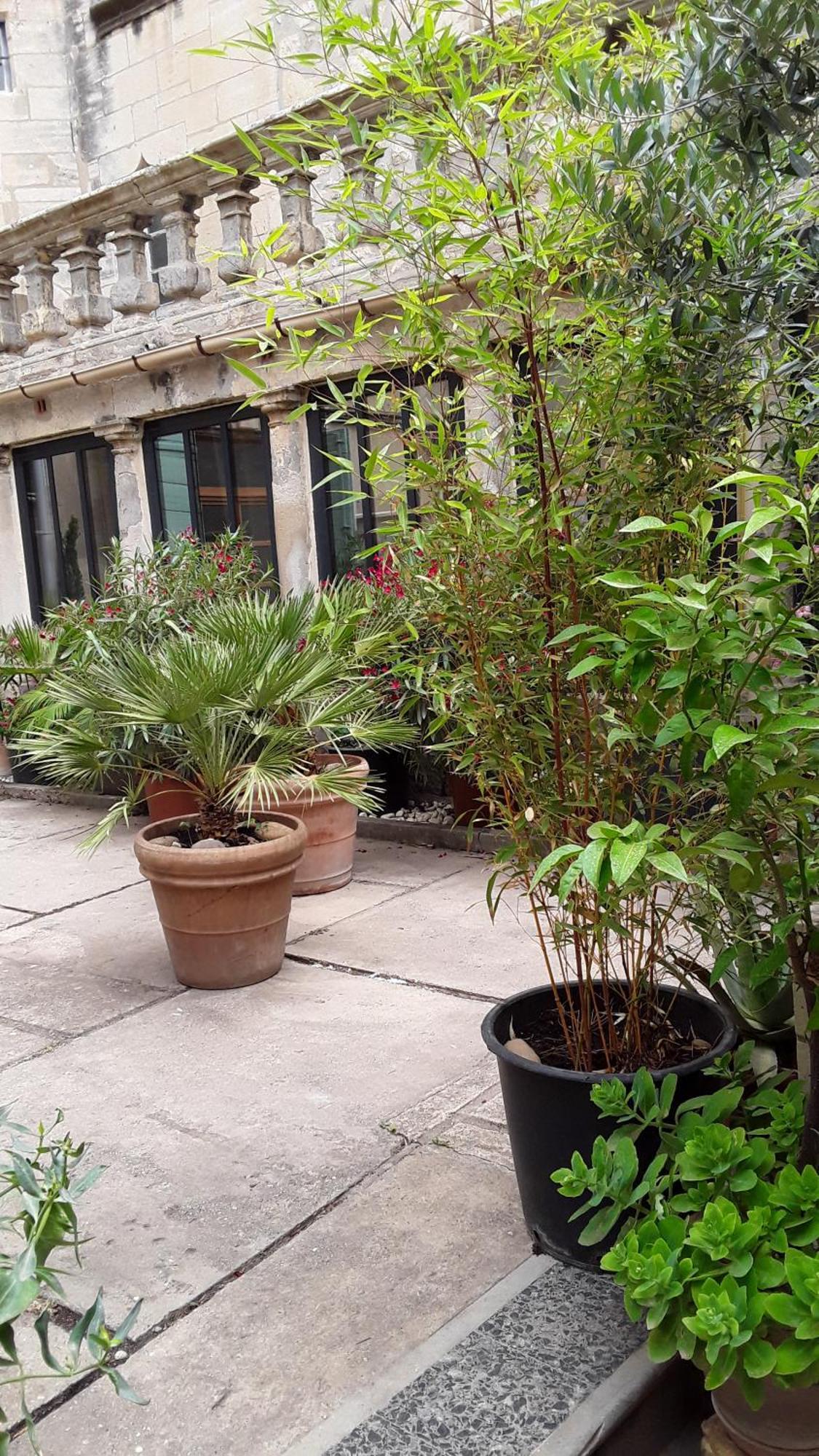 Le Clos Du Rouet Apartment *