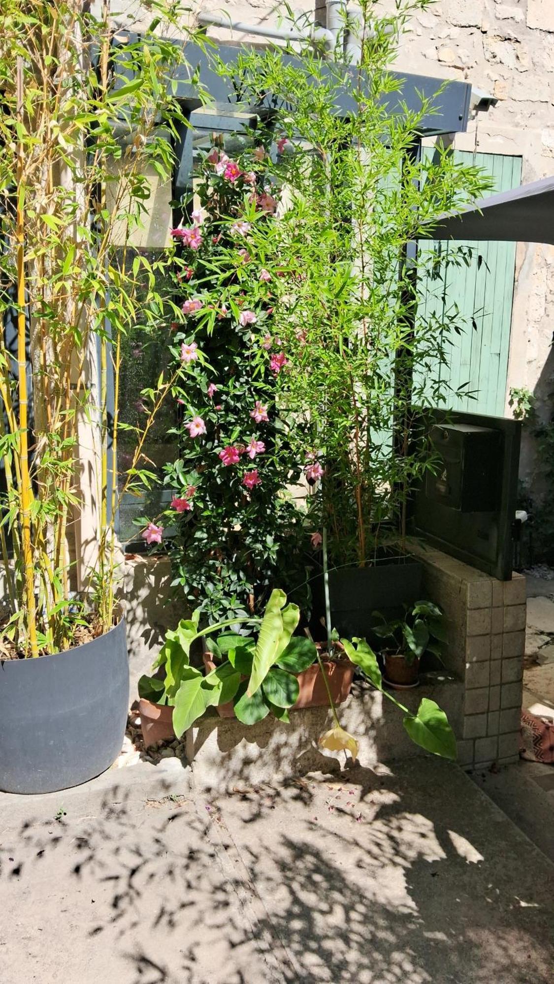 Le Clos Du Rouet Appartement